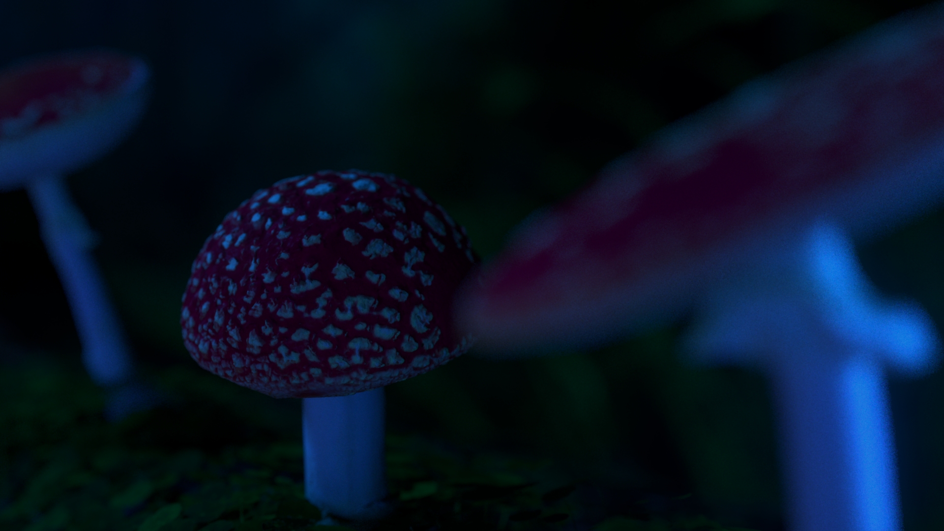 SHROOMS_1.22.1_1.22.1