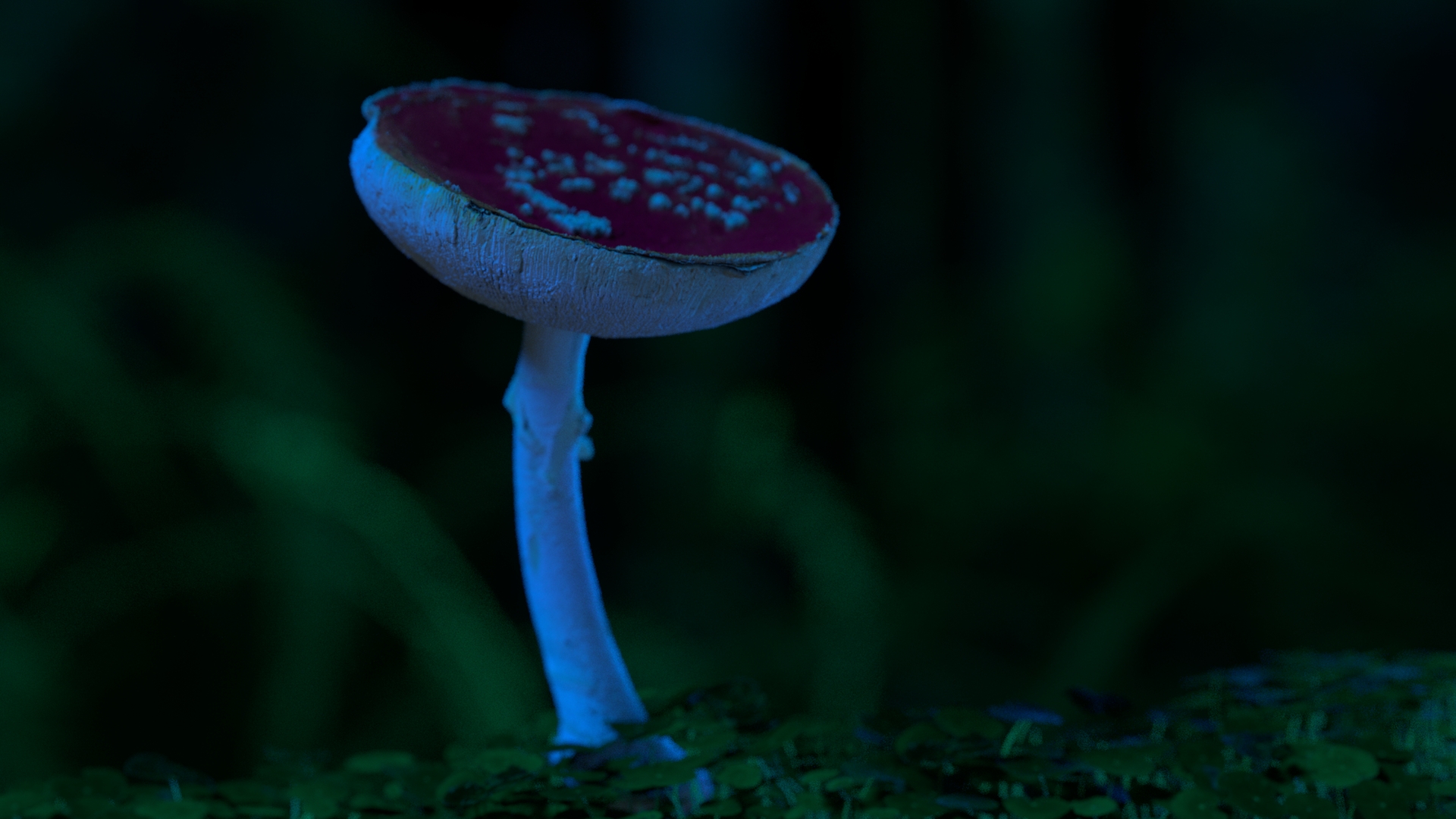 SHROOMS_1.5.1_1.5.1