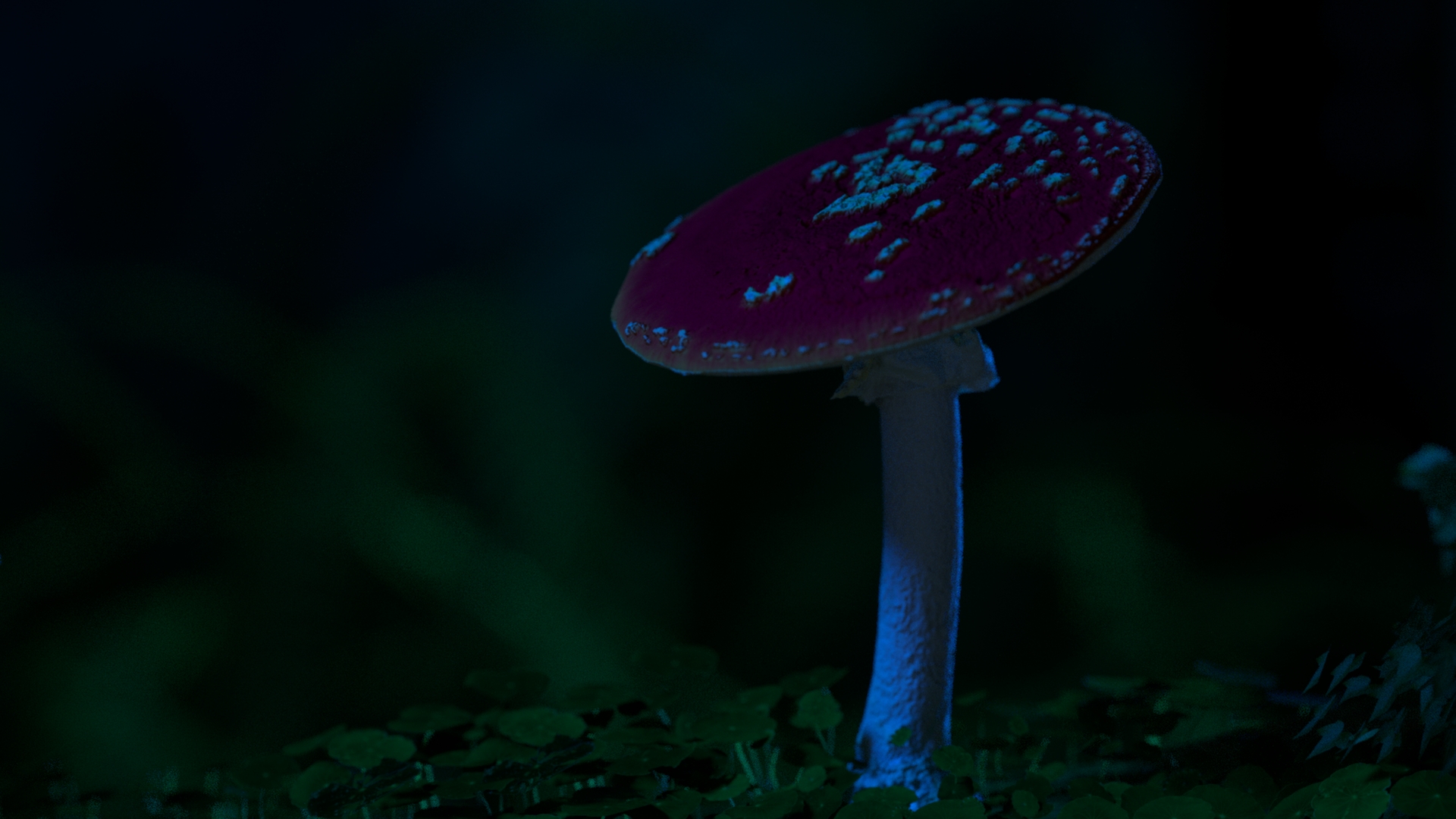 SHROOMS_1.6.1_1.6.1