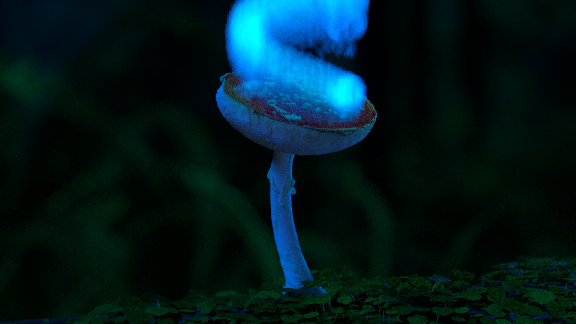 SHROOMS_1.8.2_1.8.2